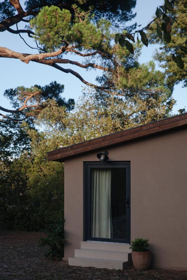 A Padaria Farmhouse Cinfaes Εξωτερικό φωτογραφία