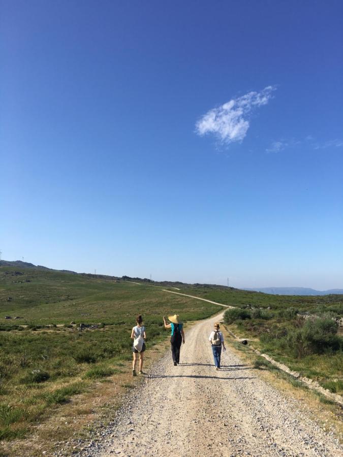 A Padaria Farmhouse Cinfaes Εξωτερικό φωτογραφία